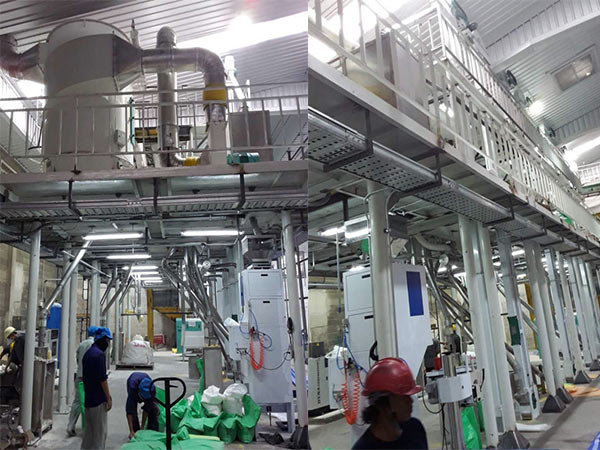 Thailand Mung Bean Peeling Line Installation and Commissioning