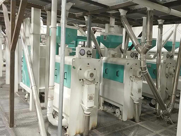 Kazakhstan 2TPH Lentil Peeling Plant Was Installed Successfully