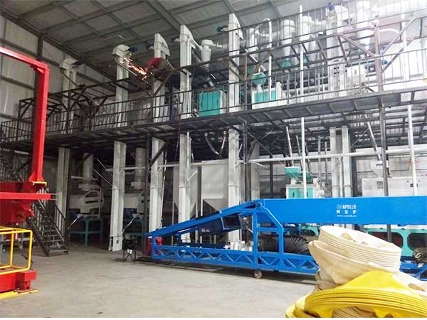 120T Lentil Peeling Line Built in Canada