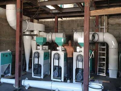 3T/Hour Lentil and Peas Cleaning and Peeling Line Delivery to Russia