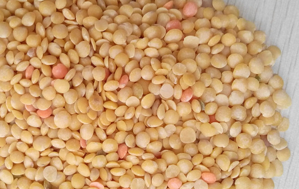 Bean bran removing machine peeled lentil.jpg