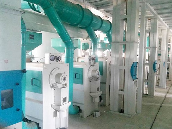 Millet Processing Machine