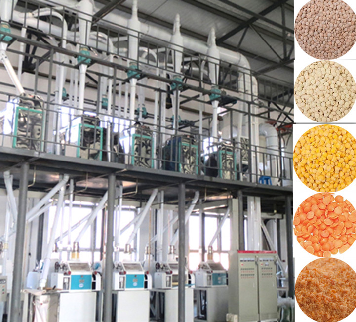 lentil processing equipment.jpg