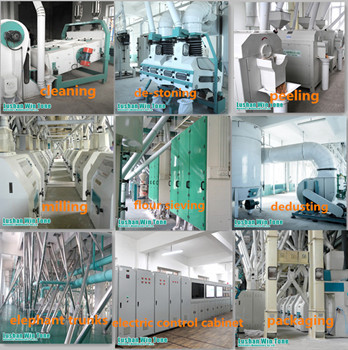 bean processing equipment bean peeler.jpg