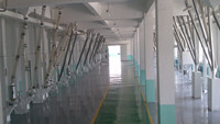 bean processing equipment industry.jpg