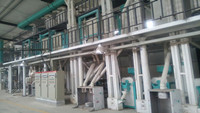bean processing equipment.jpg