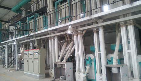 bean processing equipment vulnerable part.jpg