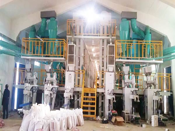 millet processing equipment price
