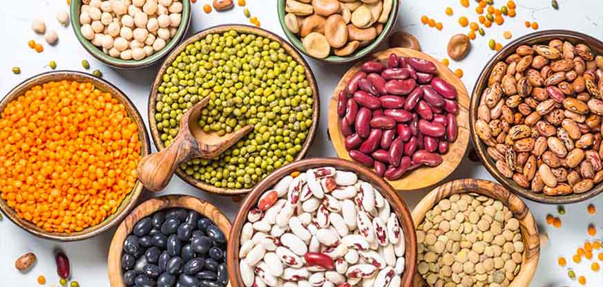 Bean Processing Equipment